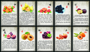 多彩水果插画展示