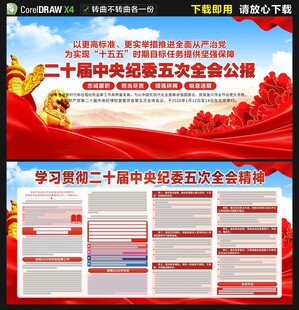 二十届中央纪委五次全会公报