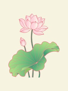 手绘荷花荷叶矢量插画