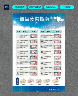 智齿分类指南
