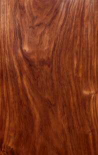 木纹纹理
