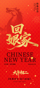 大年初二 回娘家 中国风元素