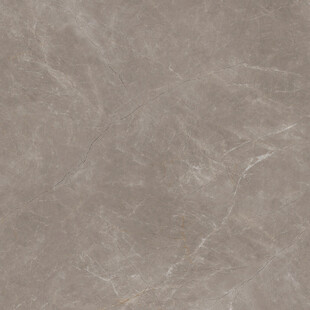 咖色 高雅新款纹理 清晰大图 