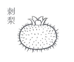 手绘刺梨图