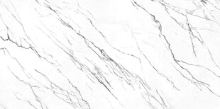优雅白色大理石纹理