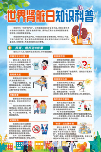 世界肾脏日知识科普海报