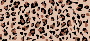 豹纹图案纹理背景