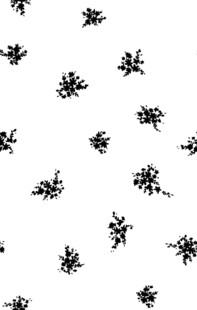 黑色昆虫图案背景纹理