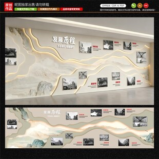 企业发展历程