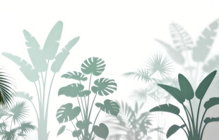 雾气磨砂膜效果绿植贴图