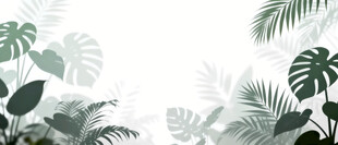 雾气磨砂膜效果绿植贴图