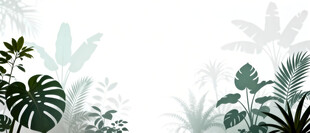 雾气磨砂膜效果绿植贴图
