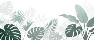 雾气磨砂膜效果绿植贴图