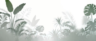 雾气磨砂膜效果绿植贴图