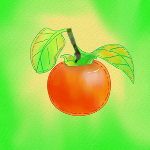 手绘鲜艳柿子带翠绿叶片