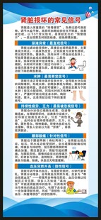 世界肾脏日展架