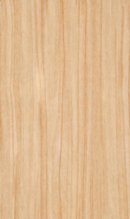 浅色木纹纹理背景图