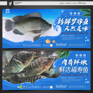 福寿鱼 罗非鱼