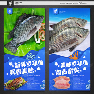 福寿鱼 罗非鱼
