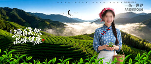 茶山