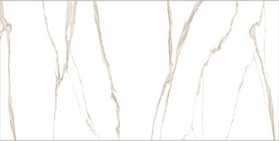 白色鱼肚金大理石石纹