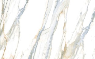 白色鱼肚金大理石石纹