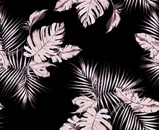 黑色背景粉色棕榈叶图案