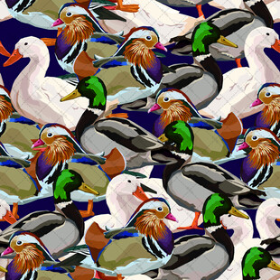 群鸭戏水图案设计素材