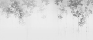 水墨新中式水墨竹子 高清竹影