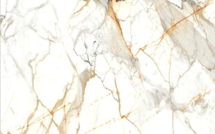 白色鱼肚金大理石石纹