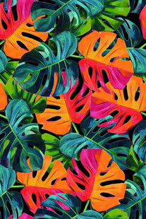 多彩热带植物叶片图案