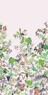 定位花鸟