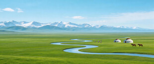 呼伦贝尔大草原