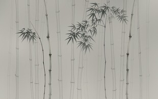 水墨竹影