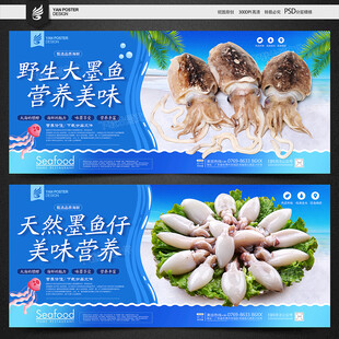 墨鱼