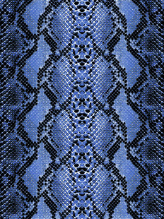 蓝色蛇纹图案纹理