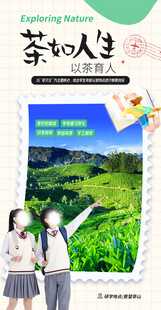 春日亲子茶园欢乐时光