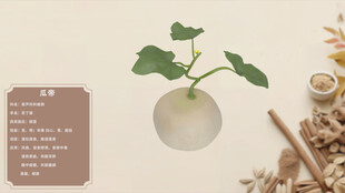 中草药瓜帝