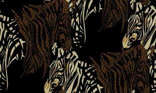 斑马群的黑白纹理图案