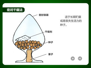 干藏法