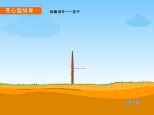 园林开心型苗木培育