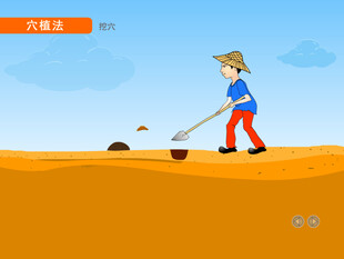 园林穴植法