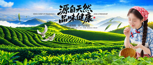 茶园