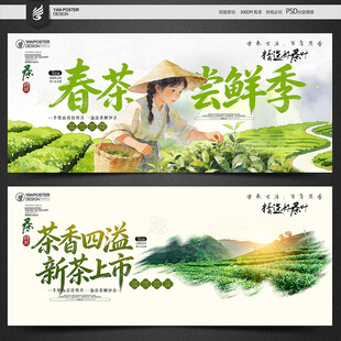 新茶上市