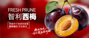 西梅