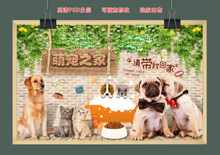 时尚宠物背景墙图片