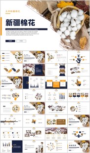 棉花棉纺纺织PPT