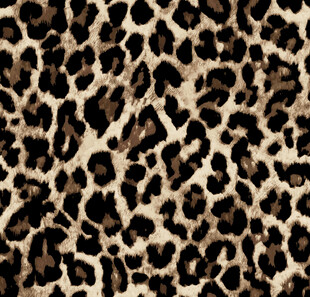 数码印花 豹纹图案纹理