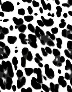 黑白斑点纹理图案