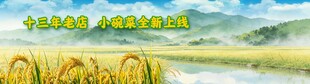 海报设计\平面设计